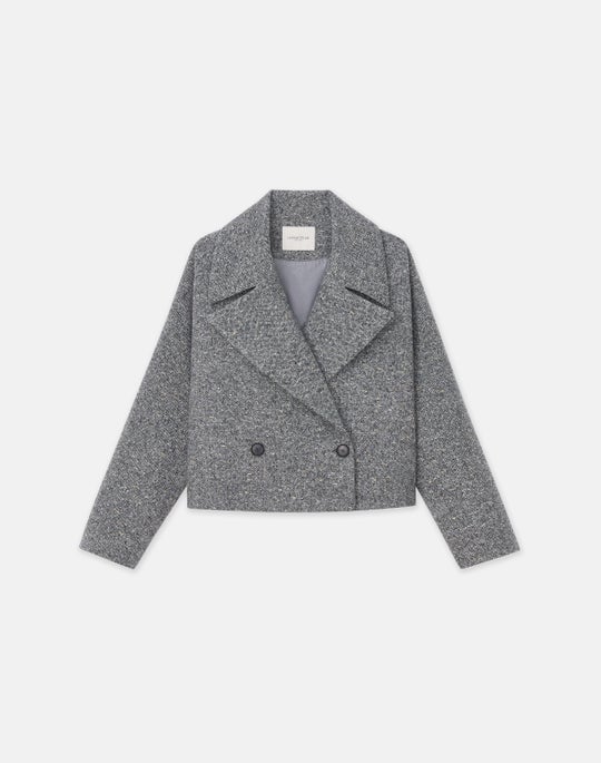 Metallic Flecked Wool-Alpaca Two Button Jacket